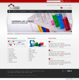 加拿大WebDesignerPS網(wǎng)頁(yè)設(shè)計(jì)作品集（四） 創(chuàng)新、簡(jiǎn)約與用戶(hù)體驗(yàn)的完美融合